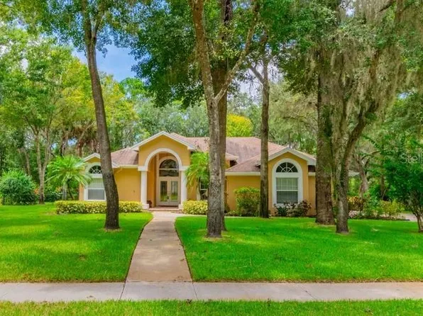 5831 Audubon Manor Blvd, Lithia, FL 33547