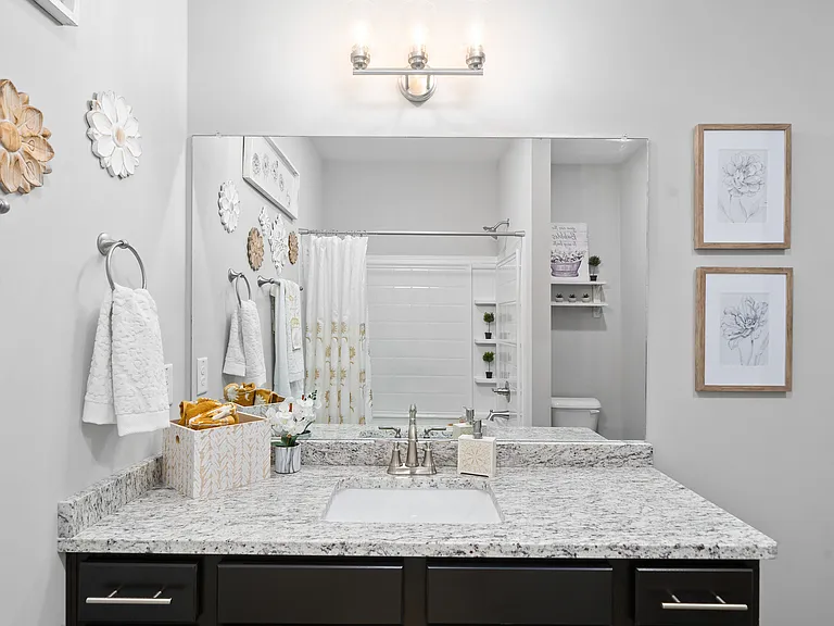 Bathroom + Granite Counters