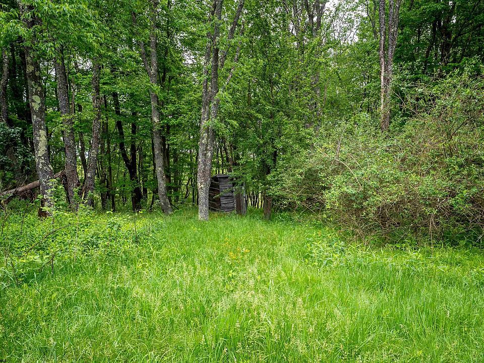 2nd image of 998 Hanlin Rd