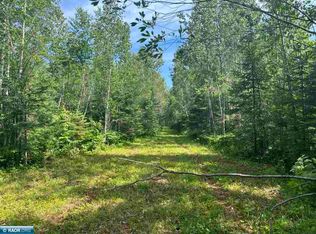 Town Rd #118, Birchdale, MN 56629
