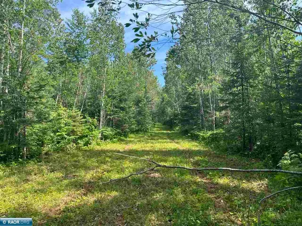 Town Rd #118, Birchdale, MN 56629
