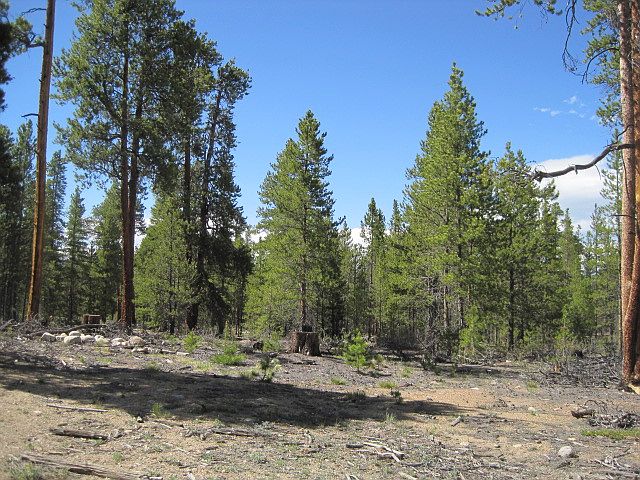 1st image of 681 Peak View Dr