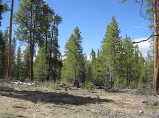 681 Peak View Dr, Twin Lakes, CO 81251