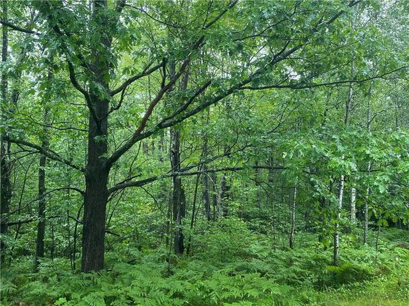 ON Pennington Road, Prentice, WI 54556