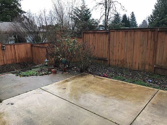 Rose bush/strawberry plant
