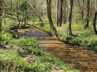 60 Anne Ct #1, Ellijay, GA 30540