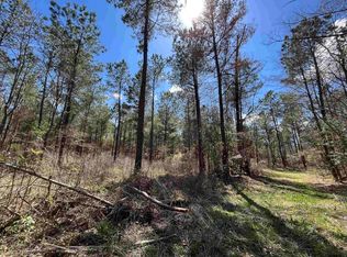 Tbd Fm 161, Hughes Springs, TX 75656
