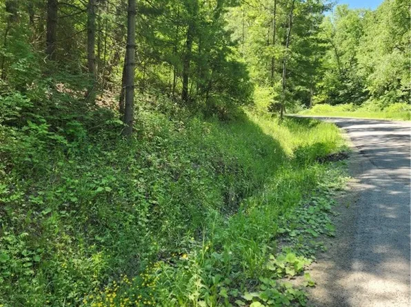 0 Sand Pit Rd #37, Bath, NY 14810