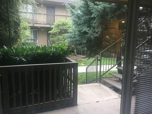 Looking out living room window