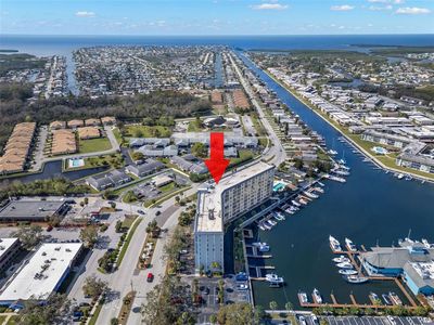 4939 Floramar Ter APT 208, New Port Richey, FL, 34652