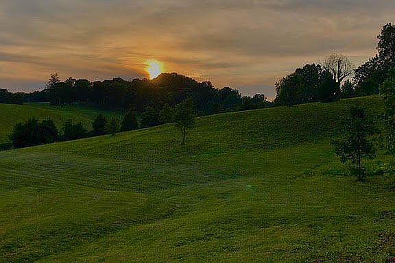 View west of neighbor 