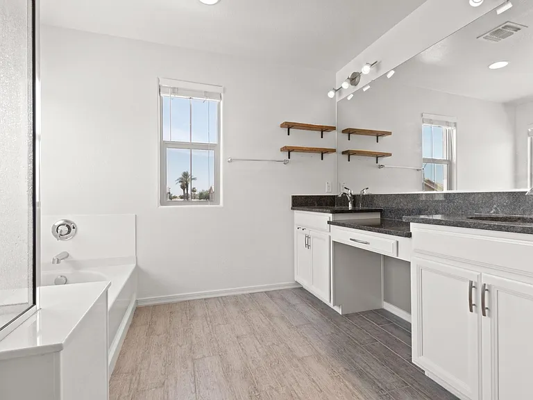 Owner's bathroom