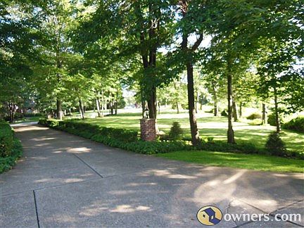 View to Street