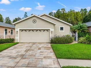 8209 Ponkan Rd, Land O Lakes, FL 34637