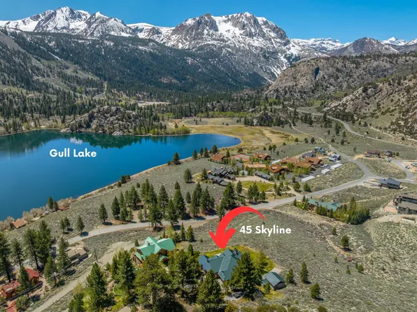 45 Skyline Dr, June Lake, CA 93529