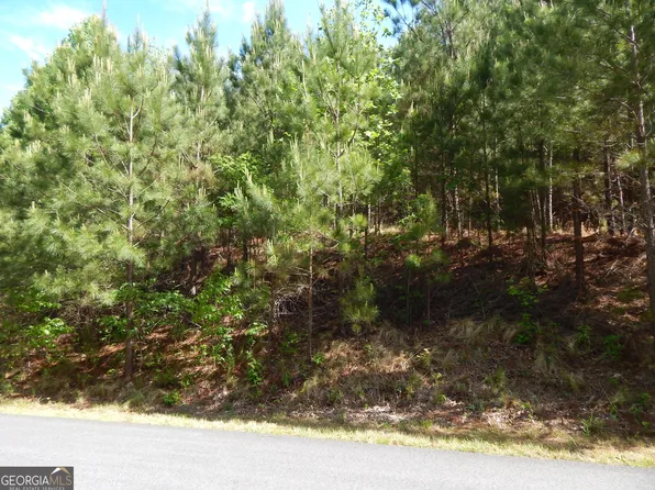 361 The Cove At Thirteen Hundred, Young Harris, GA 30582