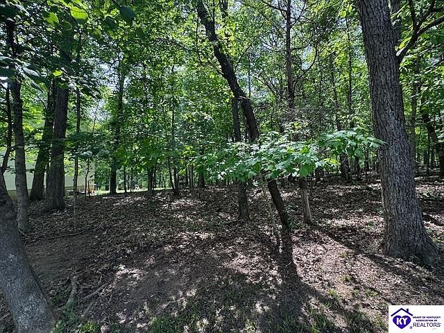 1st image of 49 Bluebird Rd