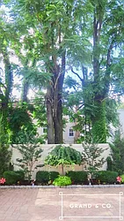 Rented by Grand & Co.