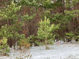 0 Glovers Lake Rd, Bear Lake, MI 49614