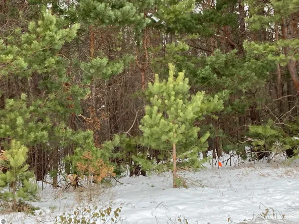 0 Glovers Lake Rd, Bear Lake, MI 49614