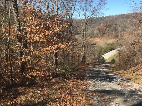 Mud Lick Rd, Walkersville, WV 26447