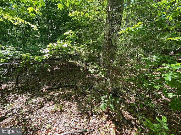 3rd image of Bowlers Mill Run #0