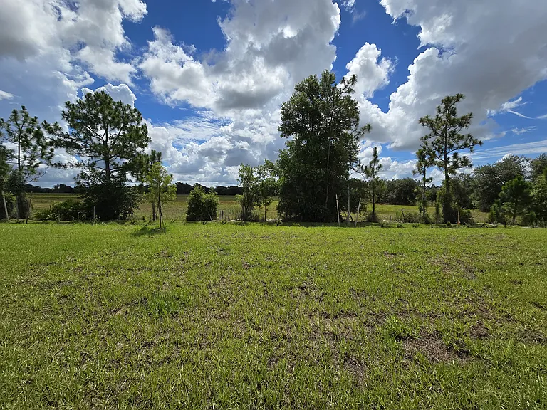 33965 Field Maple Loop — Photo 51