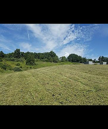 2nd image of 251 Red Feather Ln
