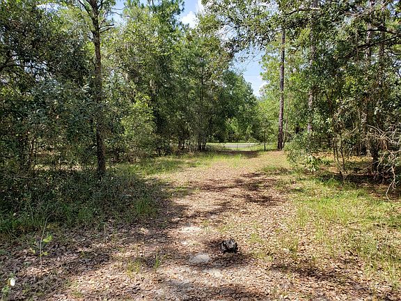 4th image of 184 Ashley Lake Dr