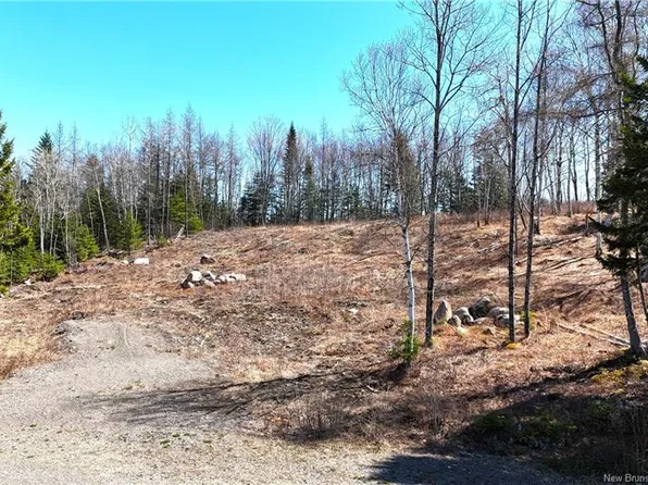 18 Damian Ln #2, Saint George, NB E5C 0C3