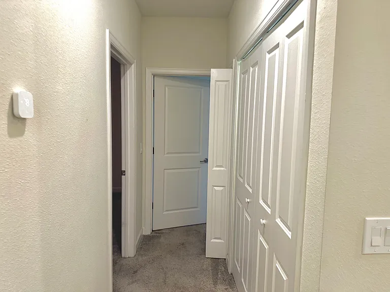 11066 Whistling Pine Way — Photo 23