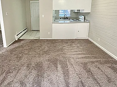 Inviting open-plan apartment with plush carpeting, featuring 2 bedrooms, a modern kitchen, and cozy living space for $1,325/month.