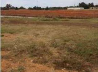 105 Springhaven Dr NW, Madison, AL 35757