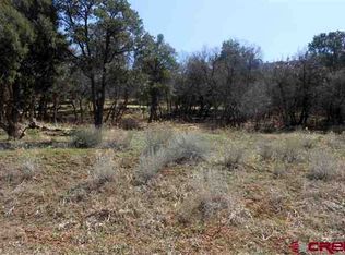 1410 Goeglein Gulch, Durango, CO 81301