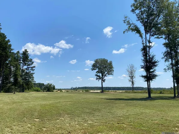 LOT 19 Nesom Rd, Denham Springs, LA 70706