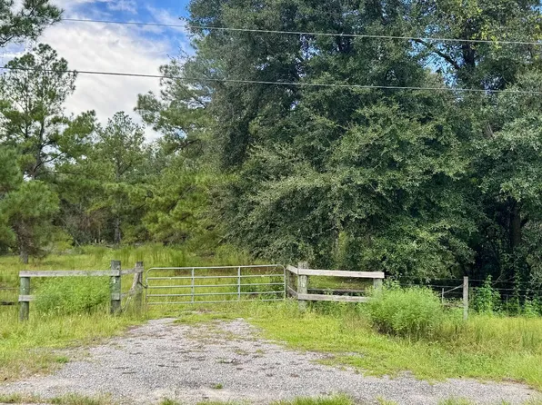 0 NE Dusty Miller Ave, Pinetta, FL 32350