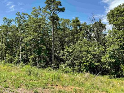 (Undisclosed Address), Clinton, AR, 72031