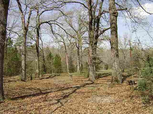 2nd image of 202 County Road 1754