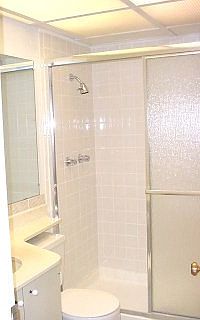 Master Walk-in Shower