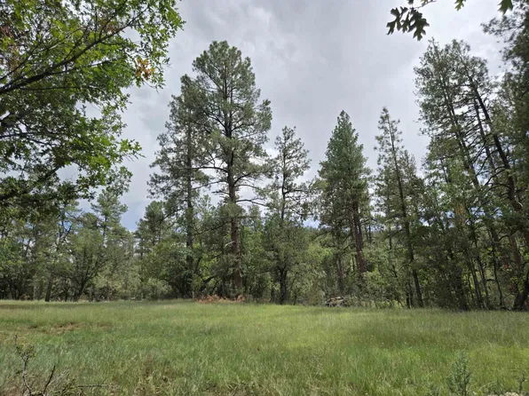 1962 Westside Rd, High Rolls Mountain Park, NM 88325