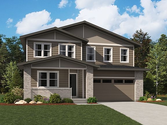 The Elderberry Elevation D