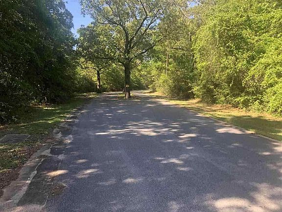 4th image of 3003 Diamond Creek Dr