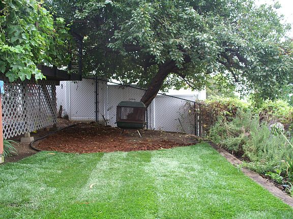 Yard lawn (choice of turf of natural)