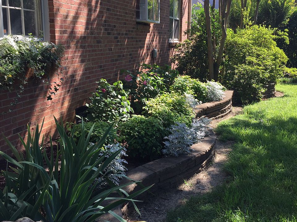 2nd image of 1701 Runnymede Ln