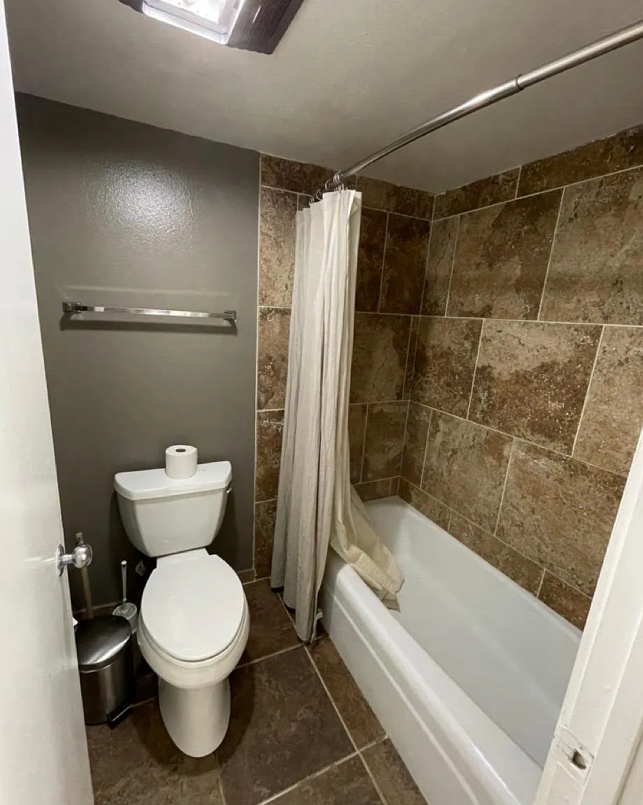 1 bed, 735 sqft, $1,500 — Photo 3