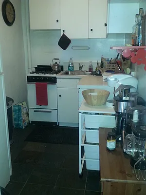 Rented by High Line NYC Realty Group | media 29