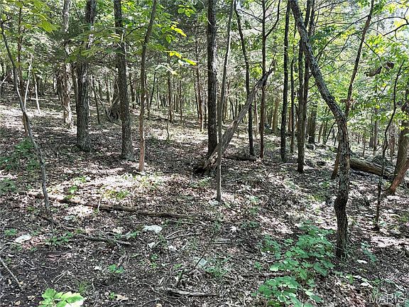 3rd image of 4567 Thunder Ridge Rd
