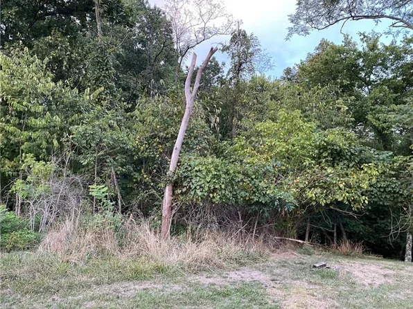 0 Pinnell St, Cottageville, WV 25239