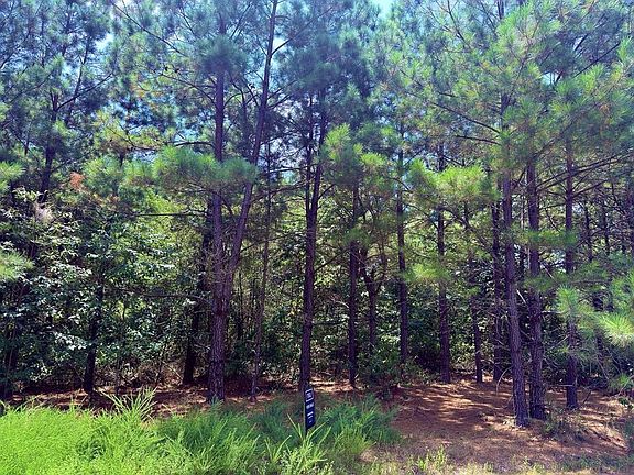 5th image of 186 Twisted Elm Trl Lot 33