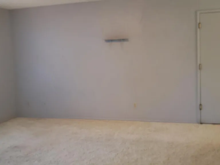 1602 Luna Ct — Photo 23